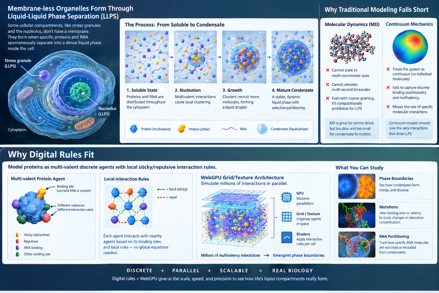 Computational Biology